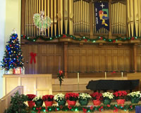 Sanctuary at Christmas